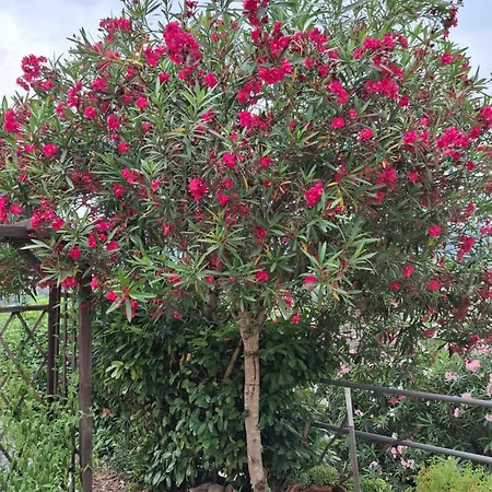 Holiday home Il Nido Di Agnese